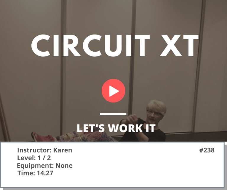 238 XT Circuit