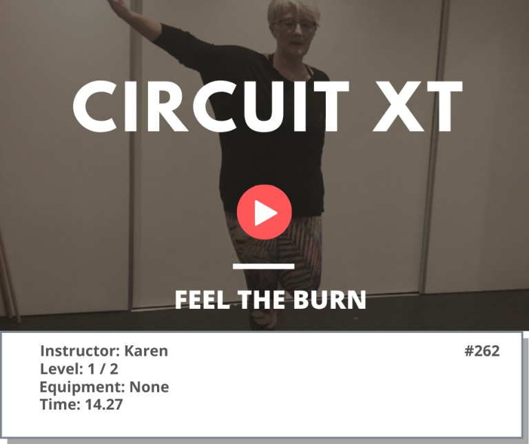 262 XT Circuit