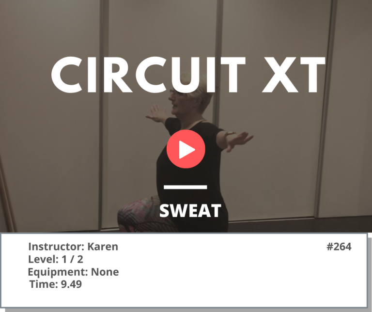 264 XT Circuit