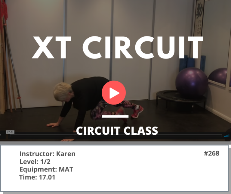 268 XT Circuit