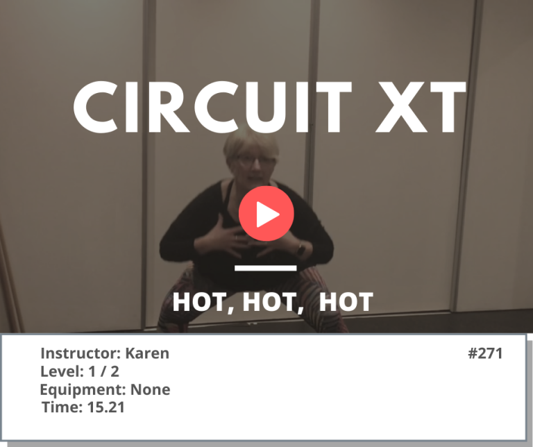 271 XT Circuit