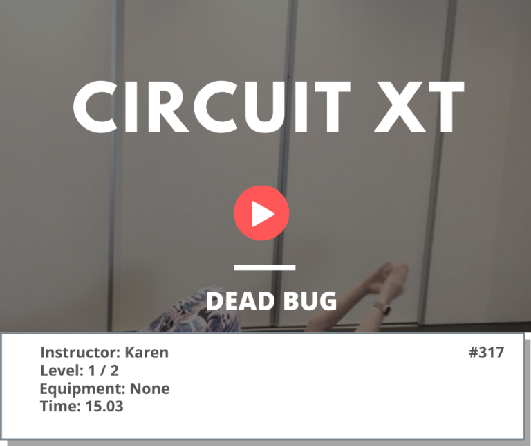 317 Circuit Dead Bug