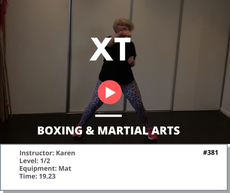 381 XT Boxing & Martial Arts