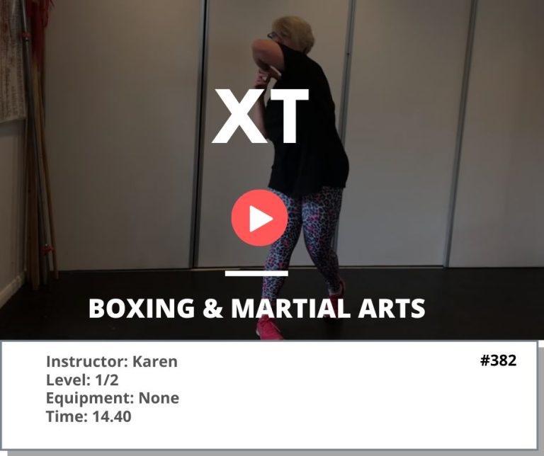 382 Boxing & Martial Arts