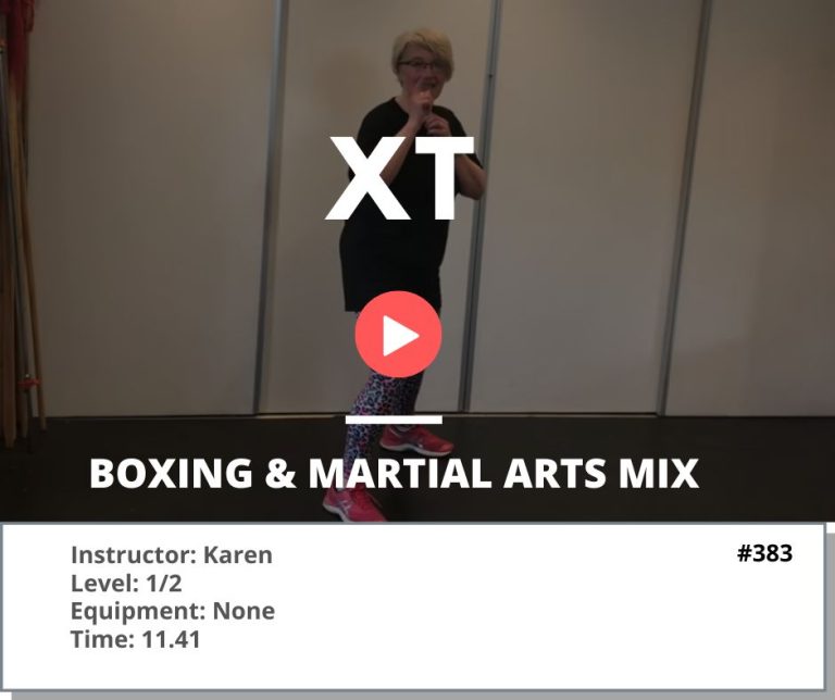 383 XT Boxing and Martial Arts Mix