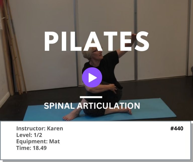 440 Spinal Articulation