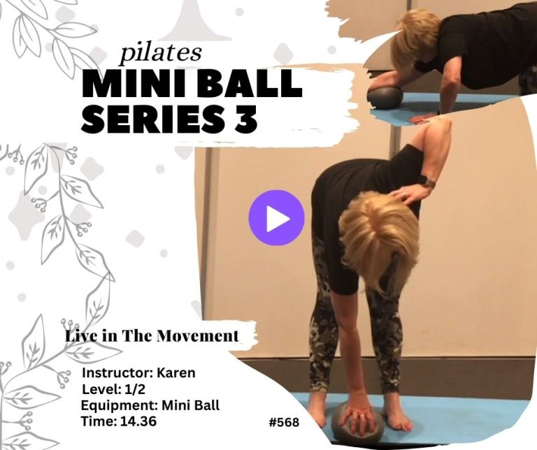 568 Pilates Mini Ball – Series 3
