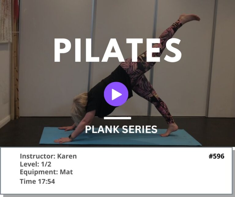 596 Plank Series