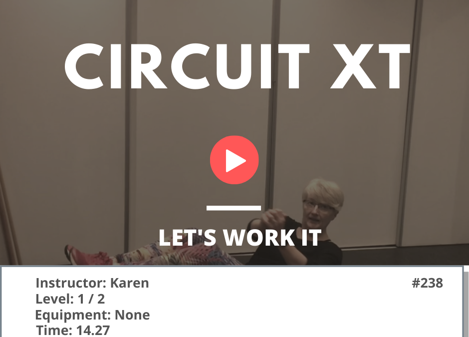 238 XT Circuit