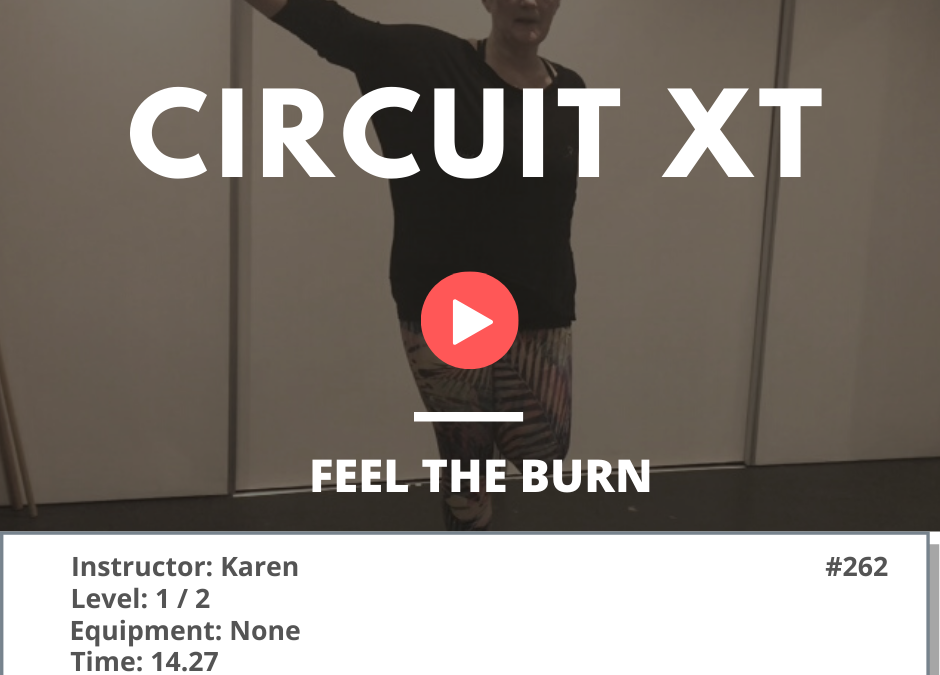 262 XT Circuit