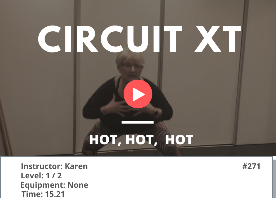 271 XT Circuit