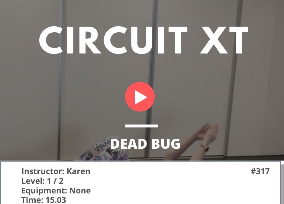 317 Circuit Dead Bug