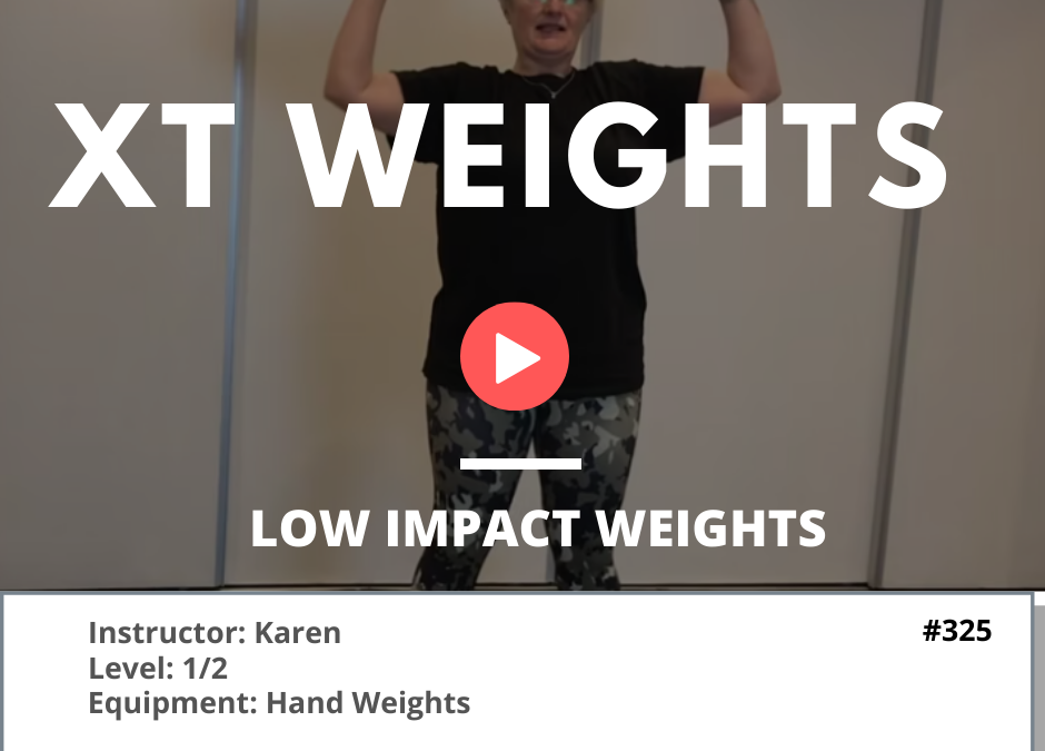 325 Low Impact Circuit with Weights