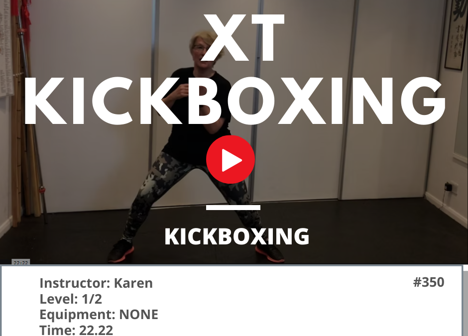 350 XT Kickboxing