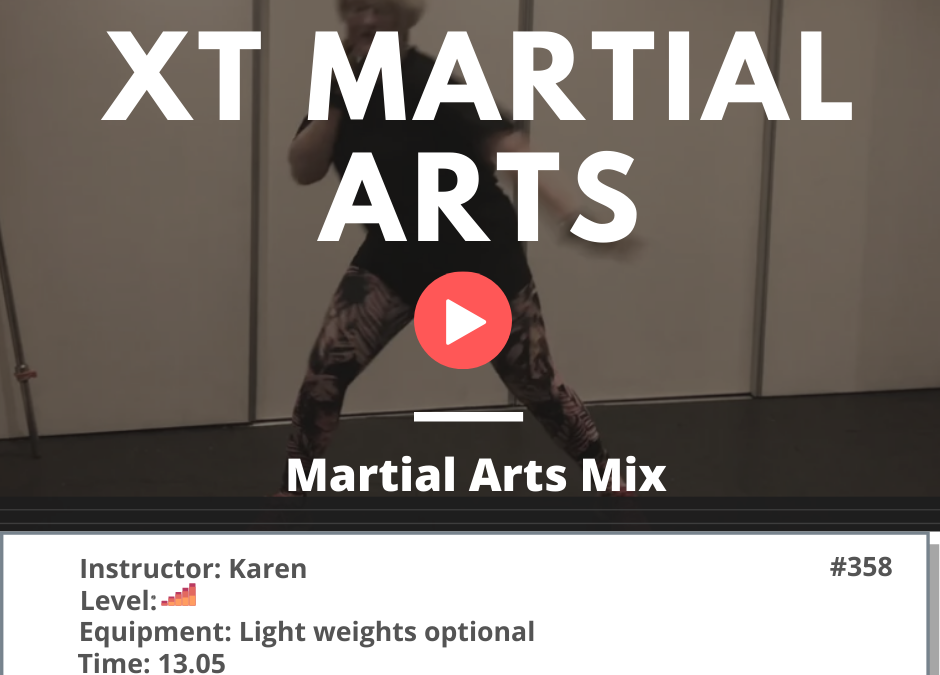 358 Martial Arts Mix