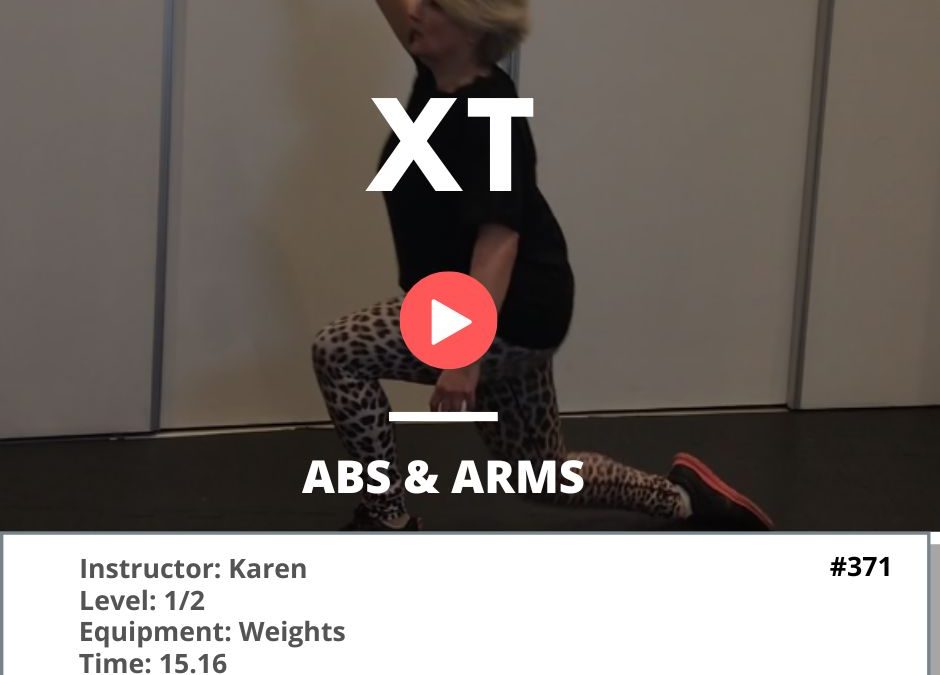 371 XT Abs and Arms