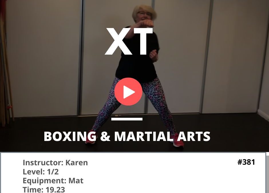381 XT Boxing & Martial Arts