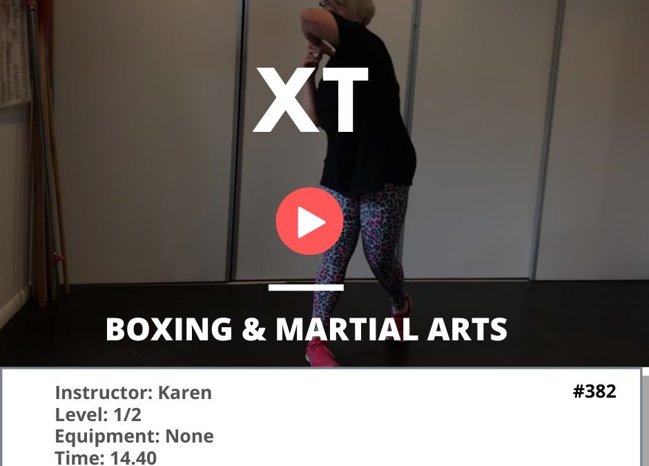 382 Boxing & Martial Arts