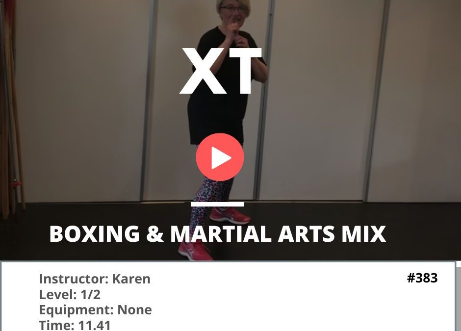 383 XT Boxing and Martial Arts Mix