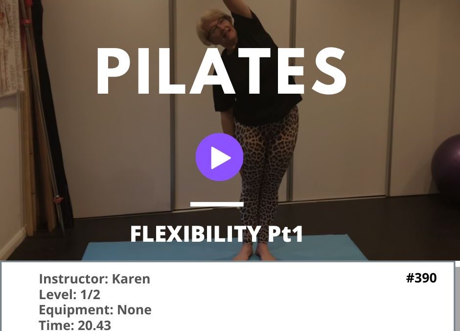 390 Pilates Flexibility pt1