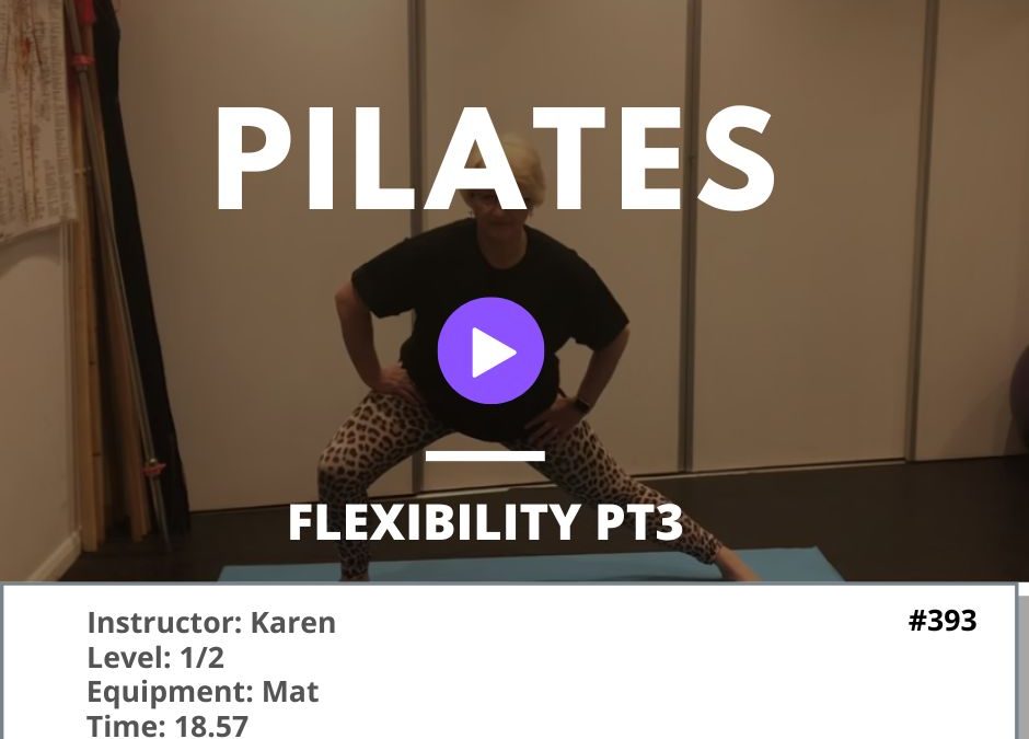 393 Pilates Flexibility pt3