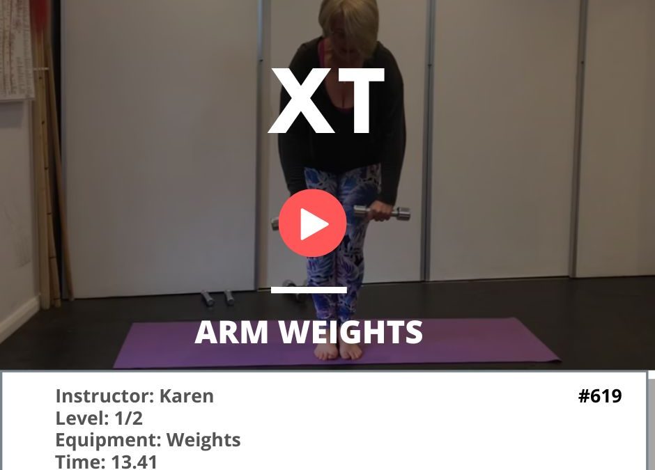 619 Standing Arm Weights