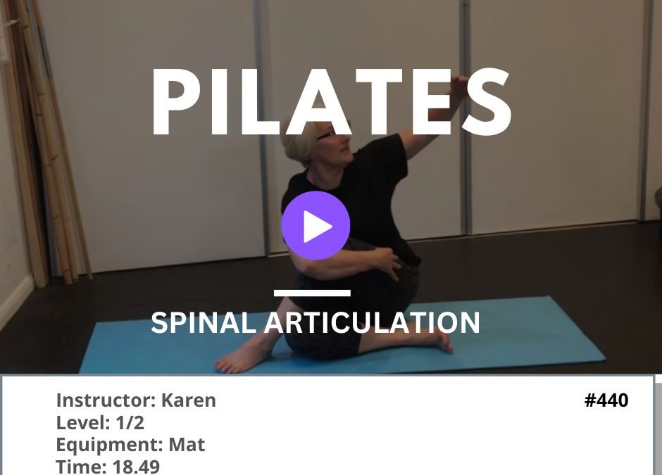 440 Spinal Articulation