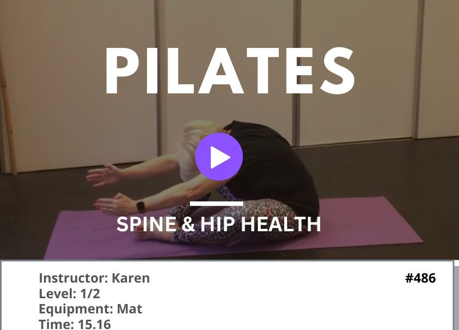 486 Spine and Hip Health Flow