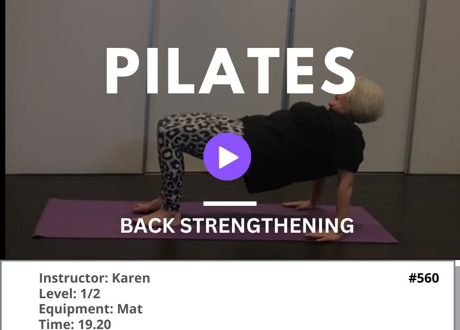 560 Back Strengthening