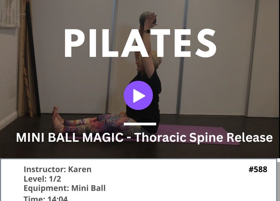 588 Mini Ball – Thoracic Spine Release