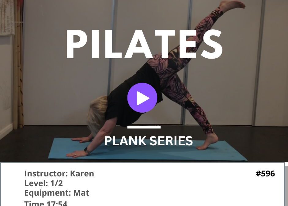 596 Plank Series